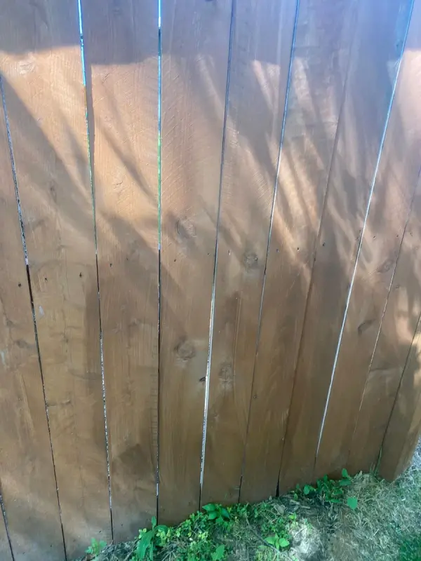 Stained boards in shade, close vertical view, Thompson Station, TN