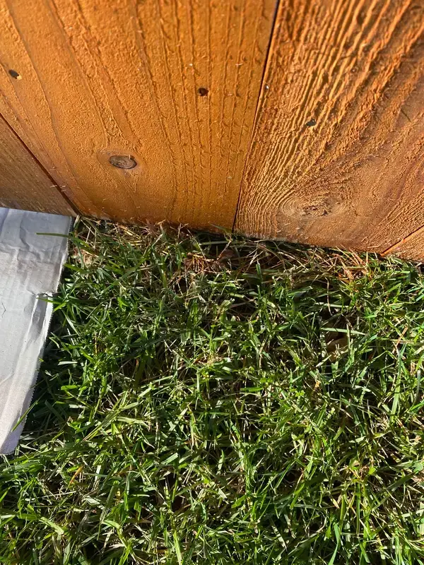 Stained board grain where the fence meets the grass, Thompson Station, TN