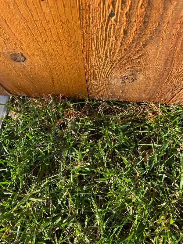 Close view of stained fence base over grass, Thompson Station, TN