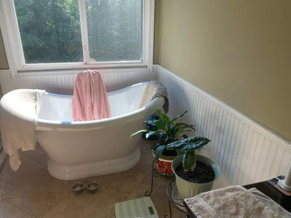 Freestanding tub beside white beadboard wainscoting, Bellevue, TN