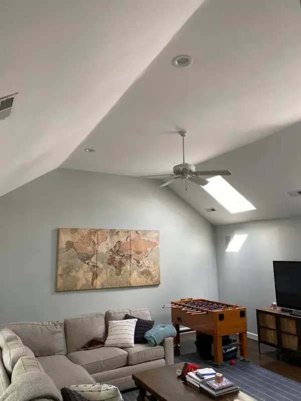 Bonus room with vaulted ceiling, skylight and gray-green walls, Belle Meade, TN