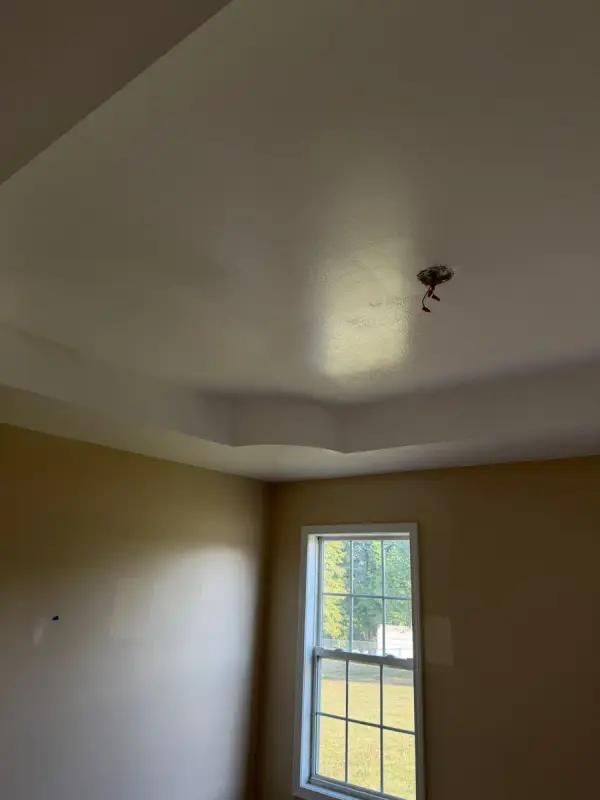Bedroom with a tray ceiling and tan walls, Pleasant View, TN