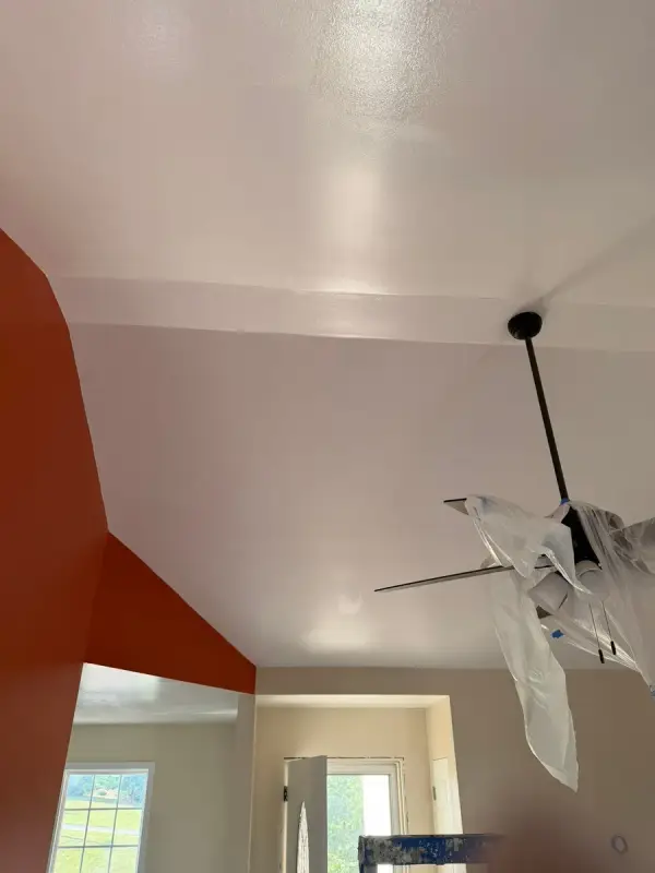Vaulted ceiling with fan wrapped in plastic, Pleasant View, TN