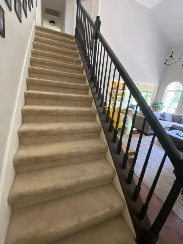 Carpeted staircase with black balusters and handrail, Franklin, TN