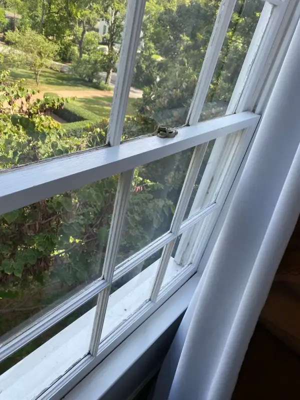 White double-hung window sash looking out over trees, Belle Meade, TN