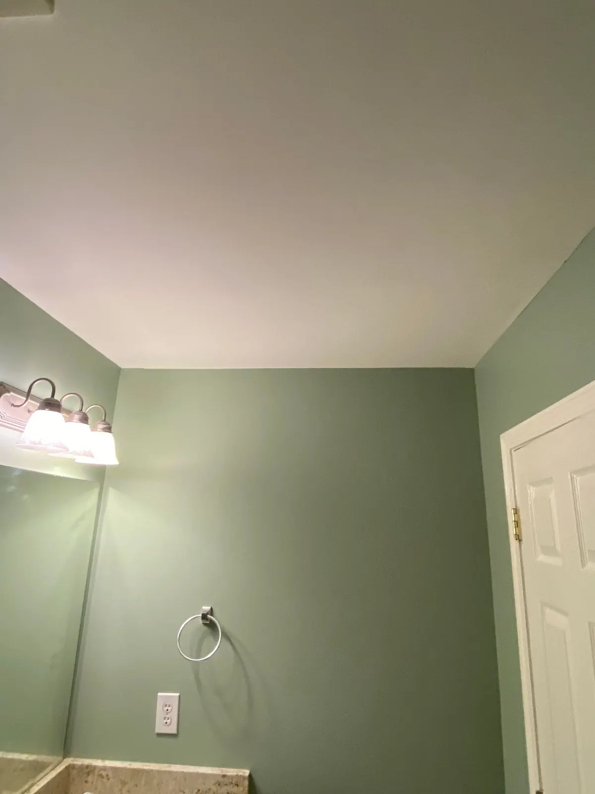 Sage green bathroom wall with towel ring and white door, Bellevue, TN