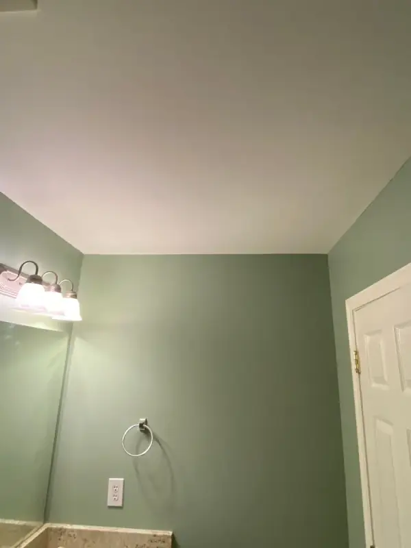 Sage green bathroom wall with towel ring and white door, Bellevue, TN