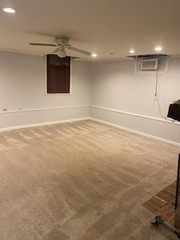 Carpeted basement room with light gray walls and white baseboards, Bellevue, TN
