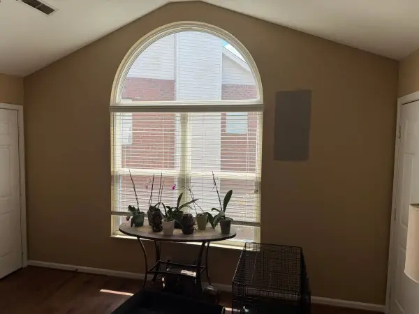 Tan room with a tall arched window, Bellevue, TN