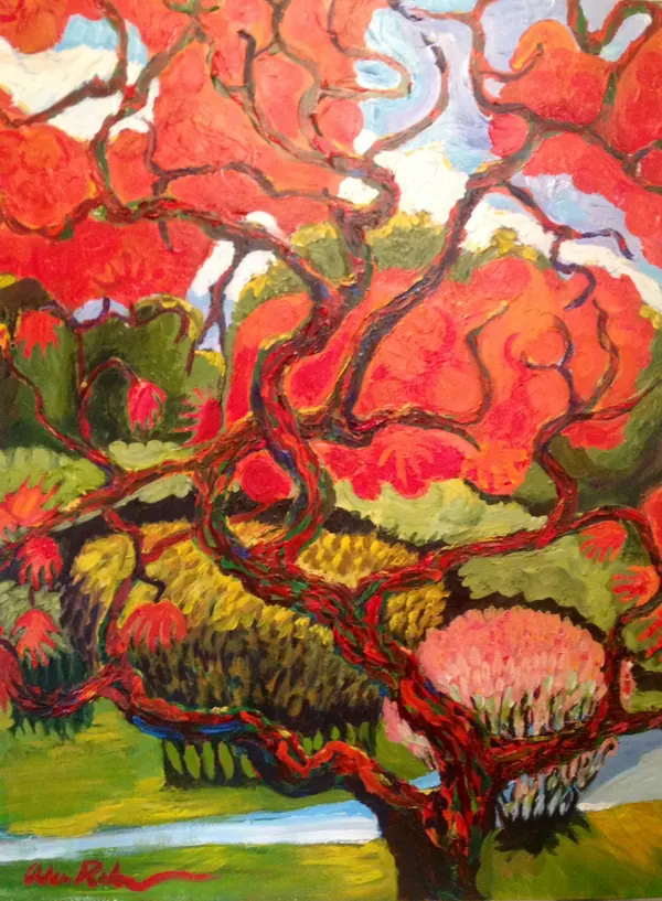 A Japanese maple in blazing red and coral above a green garden, by Alan Robinson