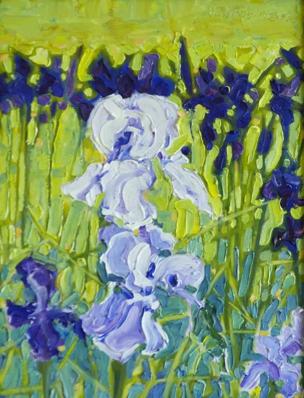 White and violet irises against bright green leaves, by Alan Robinson
