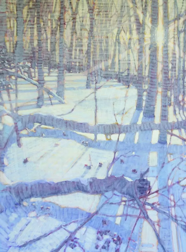 Cool winter light falling across a snow-covered woods, by Alan Robinson
