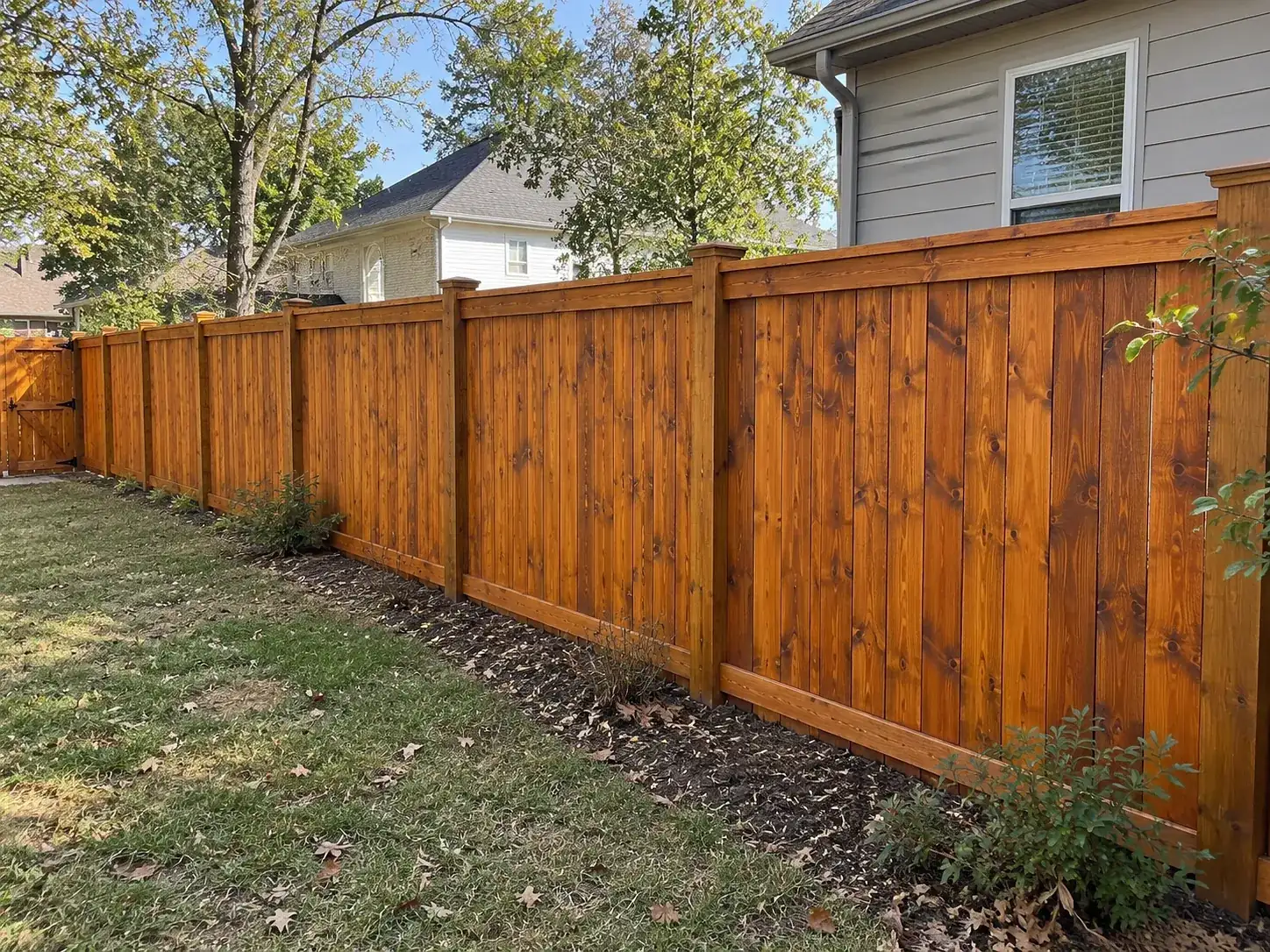 Cedar privacy fence and wooden gate stained a warm honey tone, posts capped, part of the fence staining we do for Bellevue homes